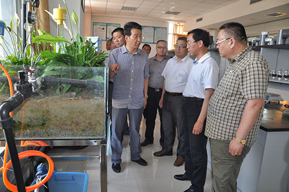 云顶国际·(中国)唯一官方网站