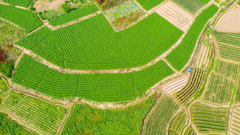 ʡֳع·2024߱׼ũｨĿ