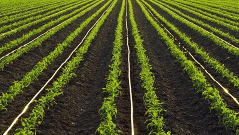 ɹſǰ2023ꡰEPC+O߱׼ũｨĿ