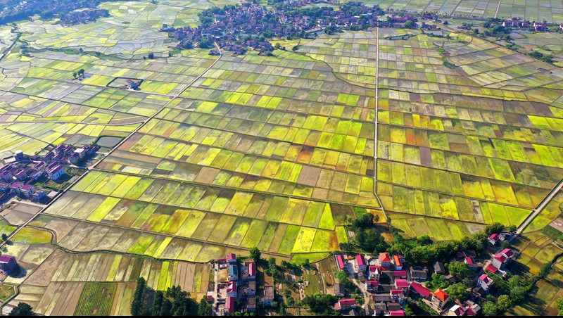 ʡϷ2020ͳʽƽ߱׼ũｨĿ