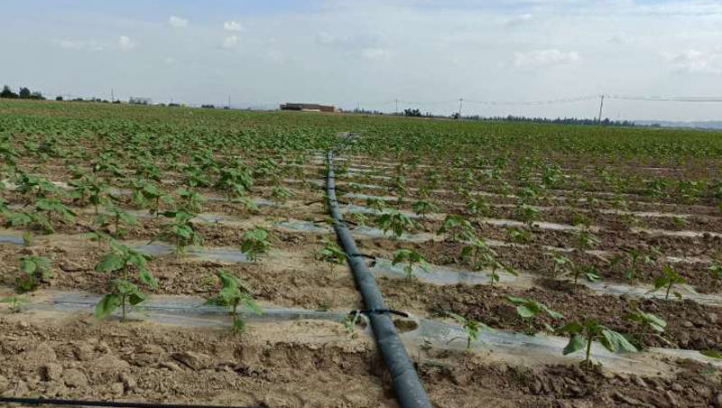 ʡд԰2020߱׼ũｨĿ