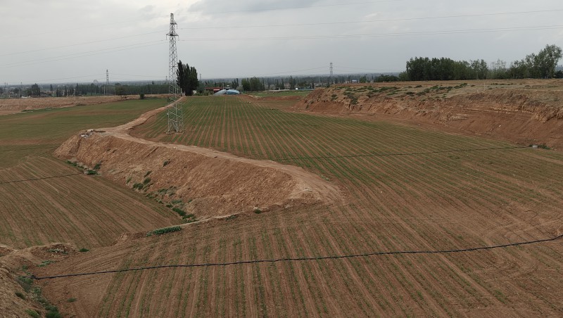 ϡƶvip.888ˮˮһ廯Ŀ