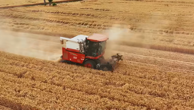 ƶvip.888ˮ¹ظ߱׼ũｨ