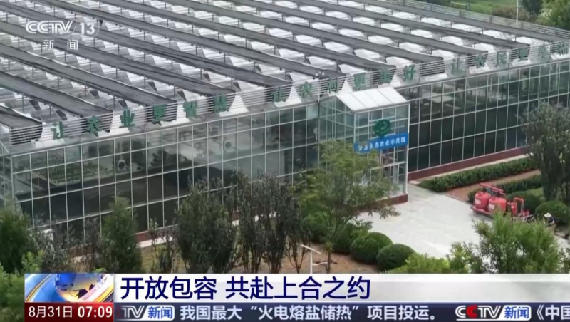  Ӿ۽ƶvip.888ˮǻ۽ࡱջݼϺϸͥ